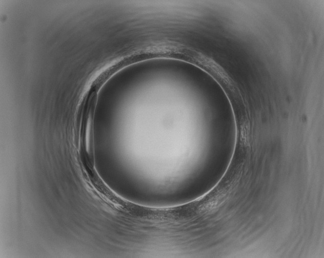 X0000062930724200601131510