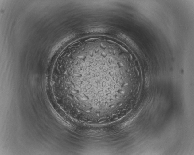 X0000062930725200601131510