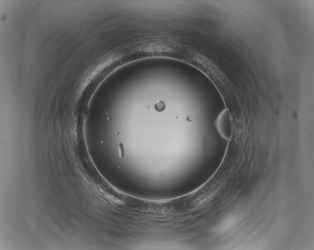 X0000062930727200601131510