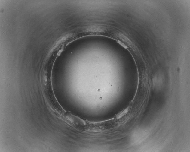 X0000062930731200601131510