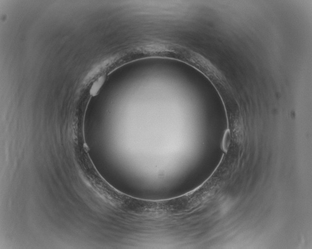 X0000062930732200601131510