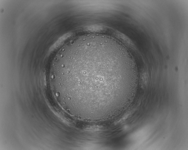 X0000062930734200601131510