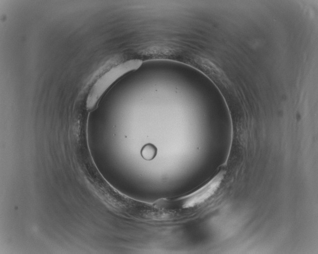 X0000062930735200601131511