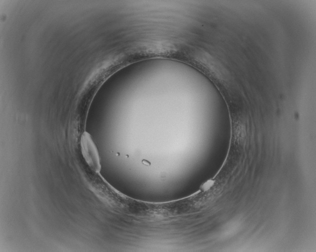 X0000062930736200601131511