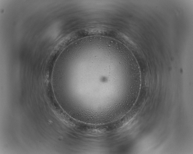 X0000062930737200601131511