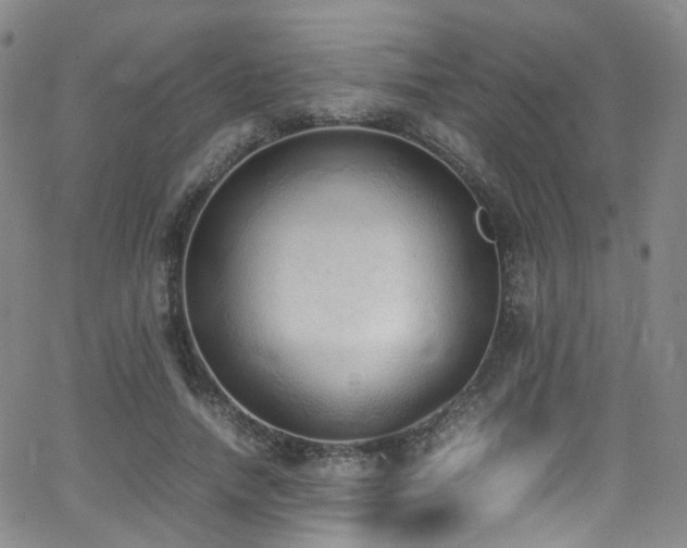 X0000062930738200601131511