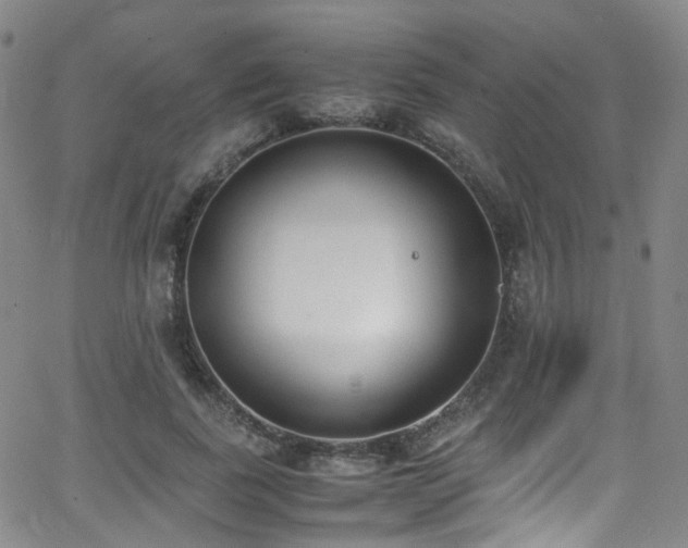 X0000062930739200601131511