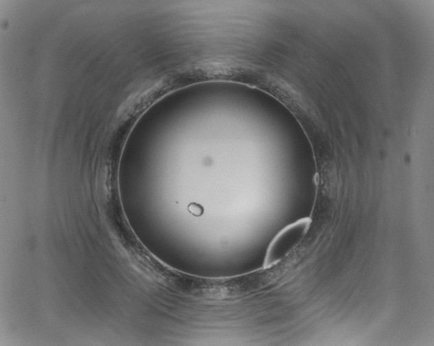 X0000062930740200601131511