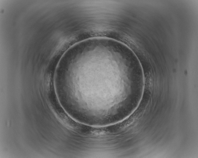 X0000062930742200601131511