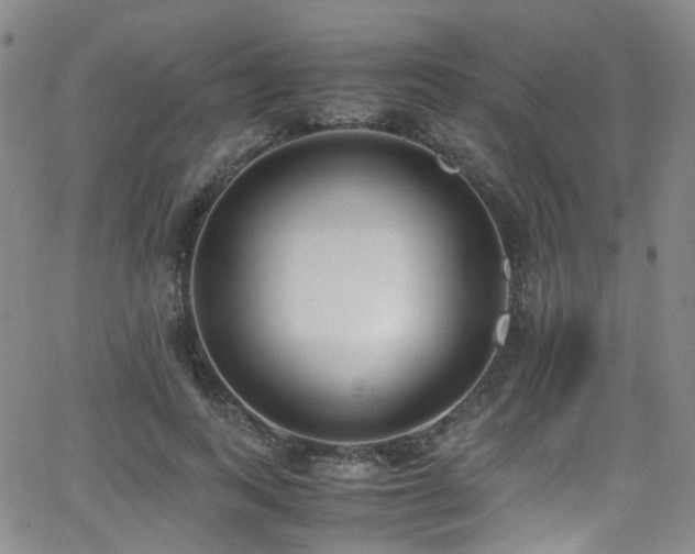 X0000062930743200601131511