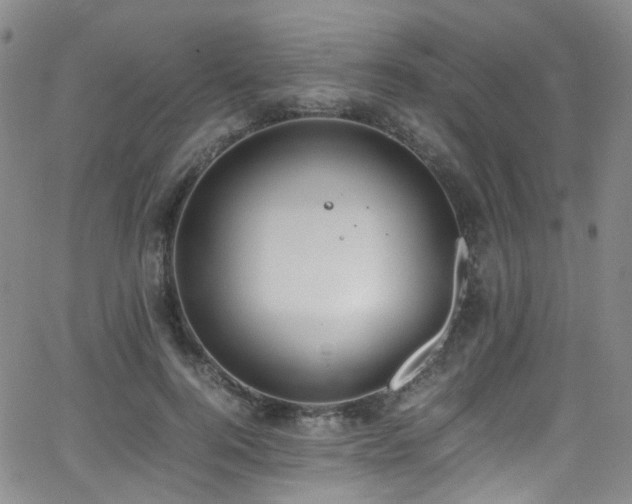 X0000062930744200601131511