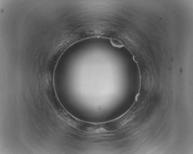 X0000062930747200601131511