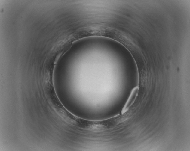 X0000062930748200601131511