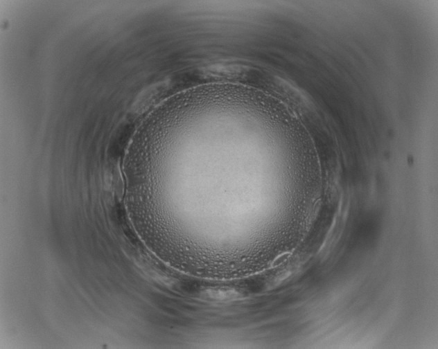 X0000062930749200601131511