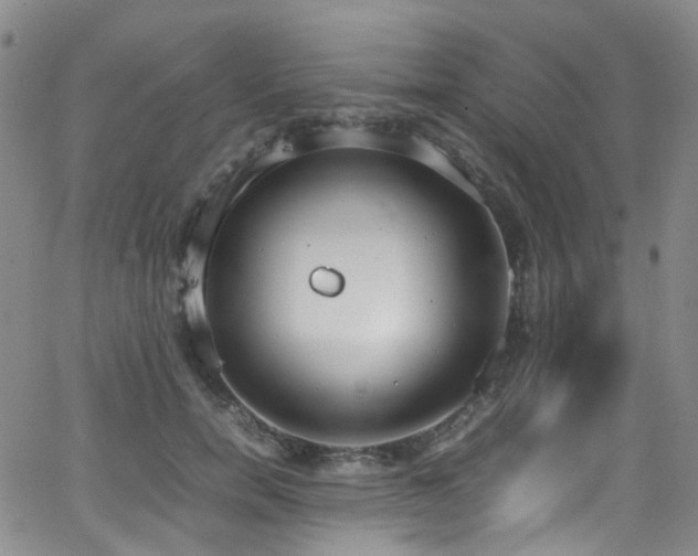 X0000062930750200601131511