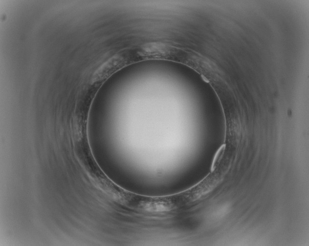 X0000062930751200601131511