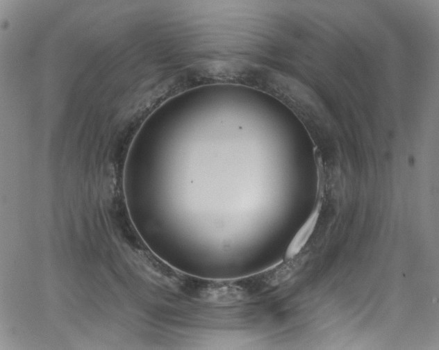 X0000062930752200601131511