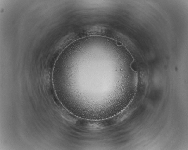 X0000062930753200601131511