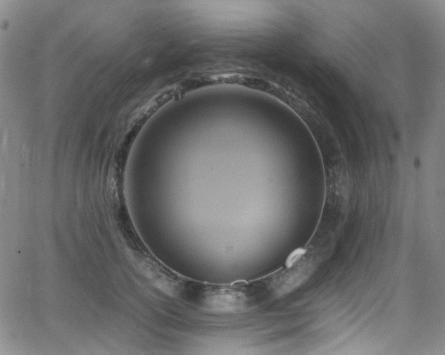 X0000062930754200601131511