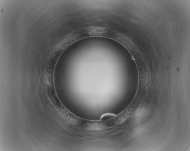 X0000062930755200601131511