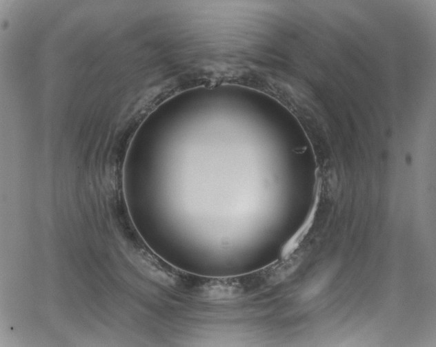 X0000062930756200601131511