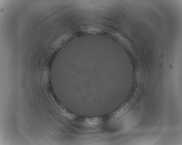 X0000062930757200601131511