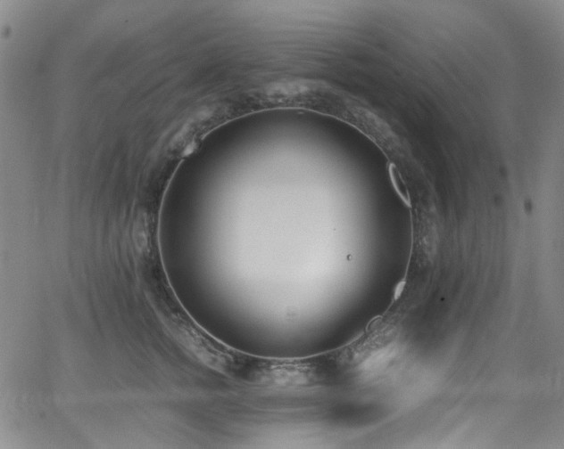 X0000062930758200601131511