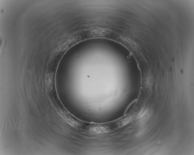 X0000062930759200601131511