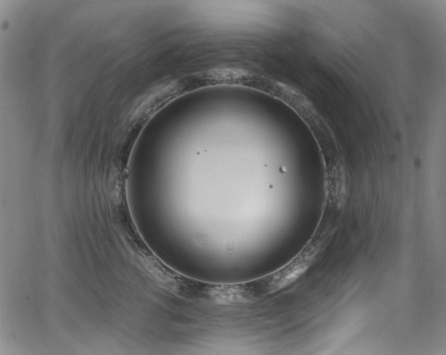 X0000062930762200601131511