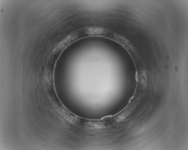 X0000062930763200601131511