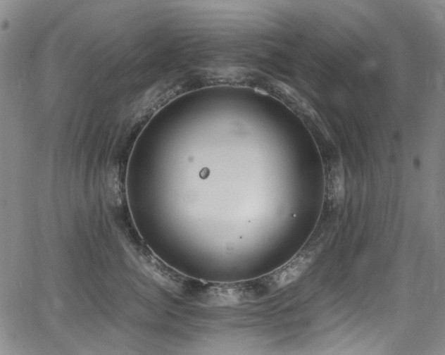 X0000062930764200601131511