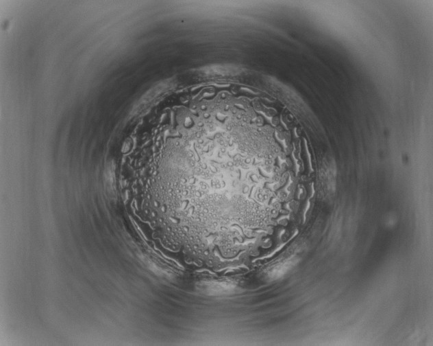 X0000062930765200601131511