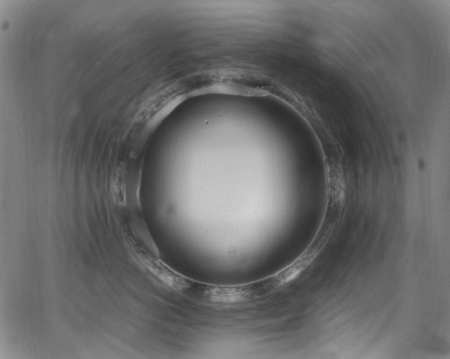 X0000062930766200601131511