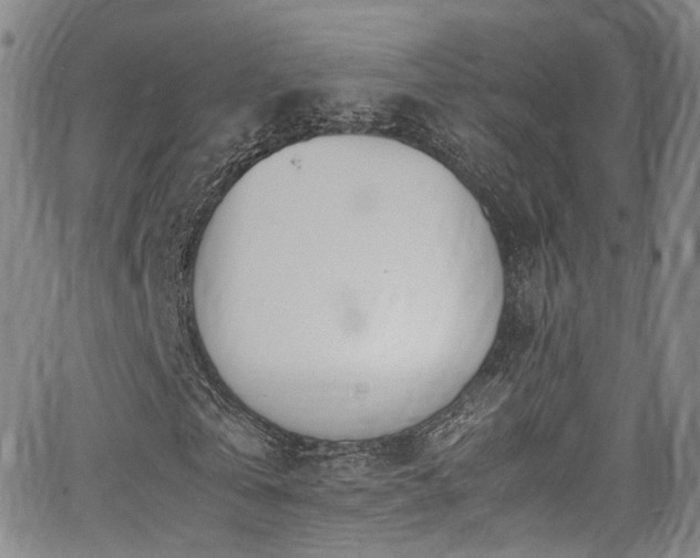 X0000062930769200601131510