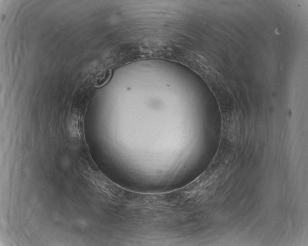 X0000062930770200601131510