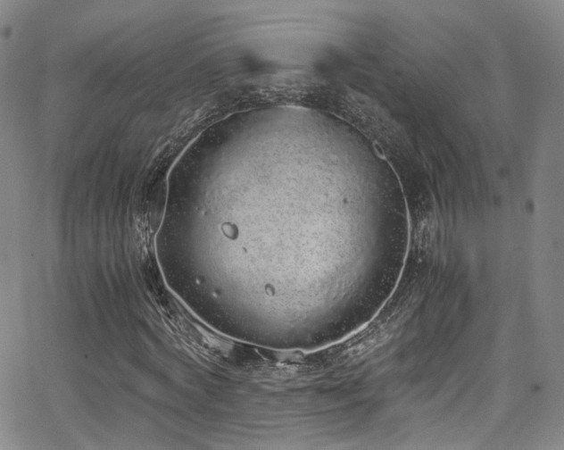 X0000062930772200601131510