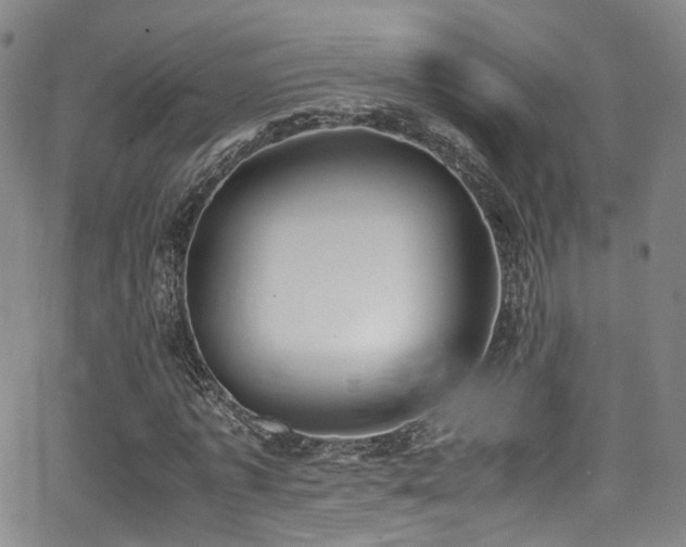 X0000062930773200601131510