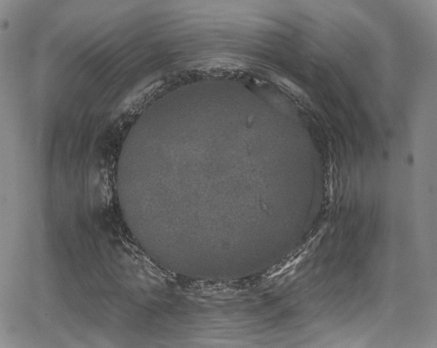 X0000062930774200601131510