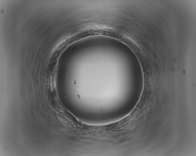 X0000062930775200601131510