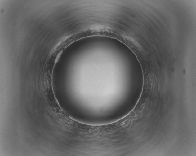 X0000062930776200601131510