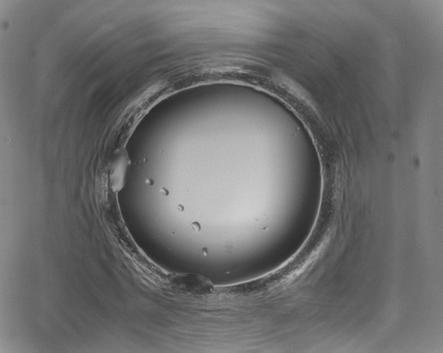 X0000062930777200601131510