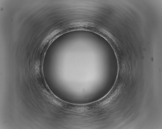 X0000062930778200601131510