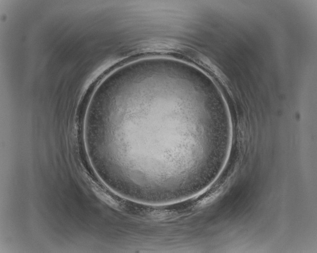 X0000062930779200601131510