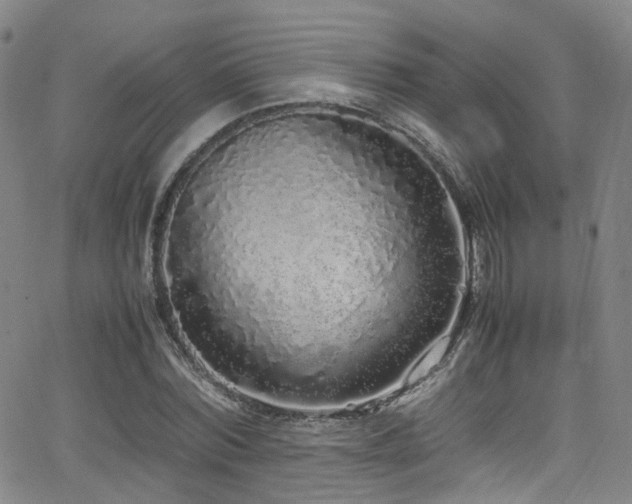 X0000062930780200601131510