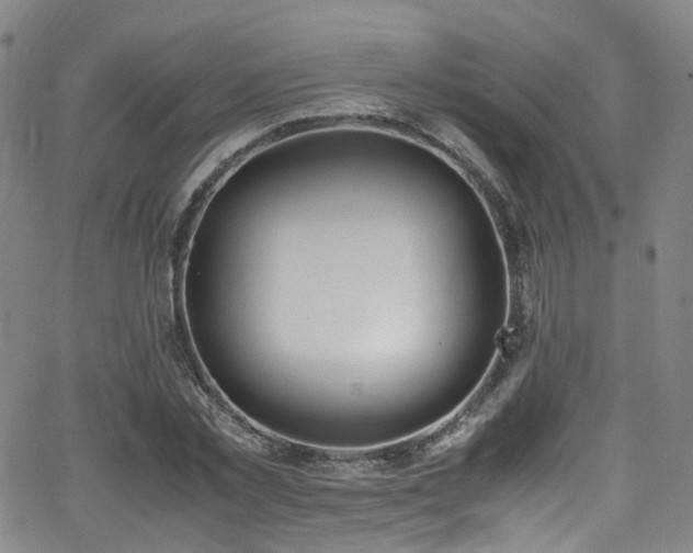 X0000062930781200601131510