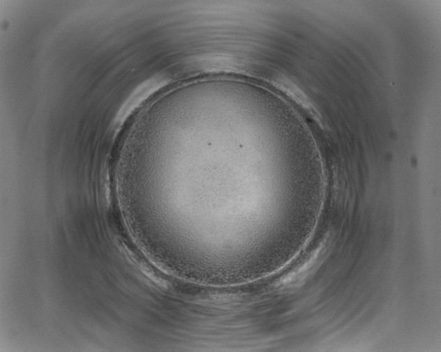 X0000062930782200601131510