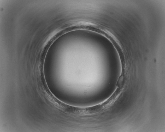 X0000062930783200601131510