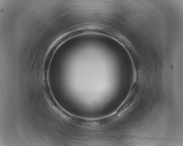 X0000062930784200601131510