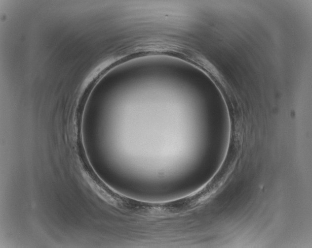 X0000062930787200601131510