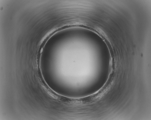 X0000062930789200601131510